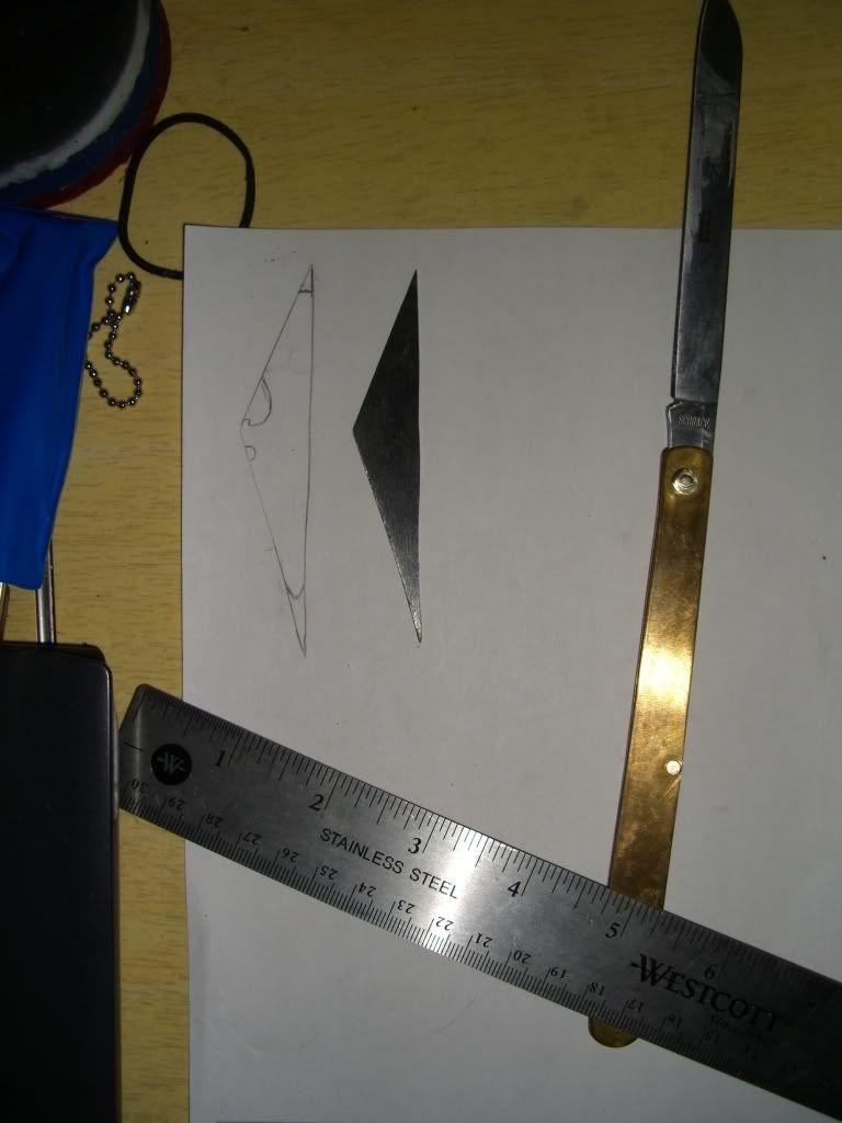 CIMG8633.jpg
