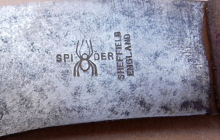 Spider.jpg