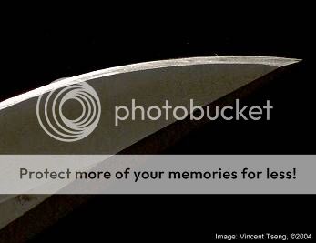Buck_NtHwk_tip.jpg