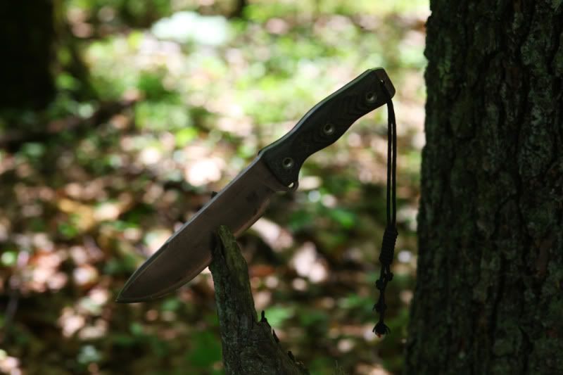 02SARSquatch_2874.jpg
