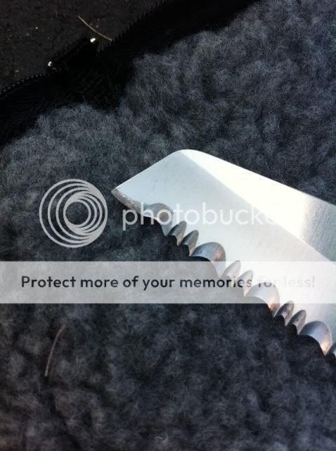 photo-18.jpg