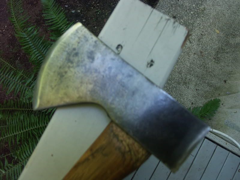 PICT0005.jpg