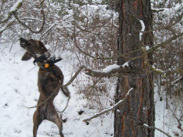 Picture042.jpg