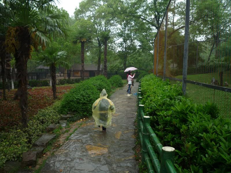 P1060313.jpg