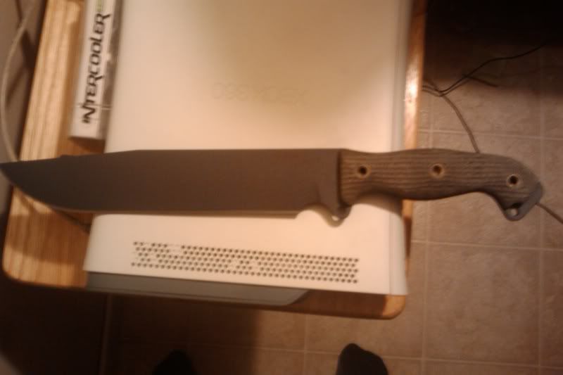 IMAG0006.jpg