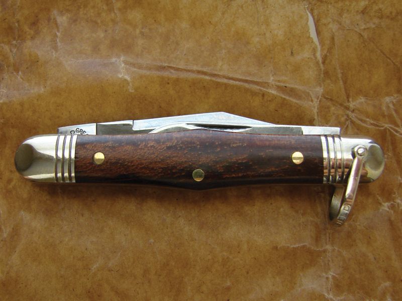 Kauri_2.jpg