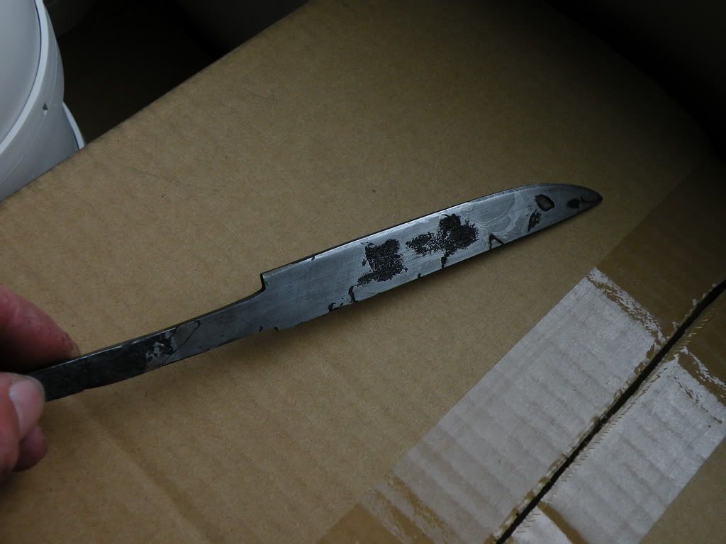 8552.jpg
