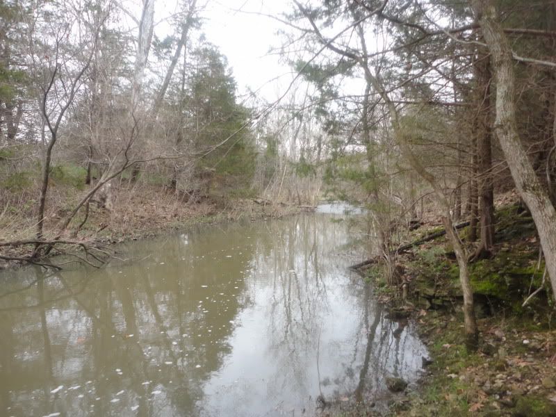 springfork016.jpg