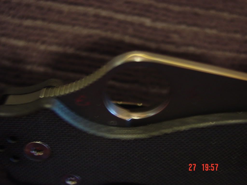DSC00477.jpg