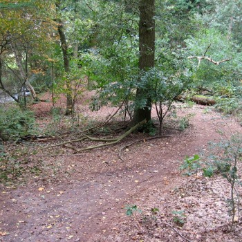 mtb1.jpg