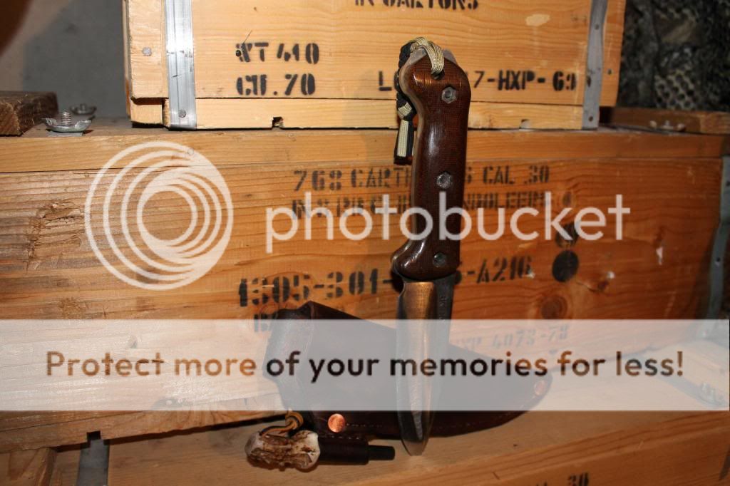 IMG_2339_zpsfedc5ddb.jpg