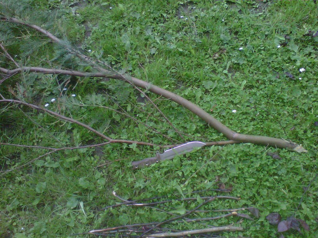 IMG-20120709-00146.jpg