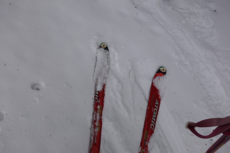2015.02.08.DSC08888.JPG