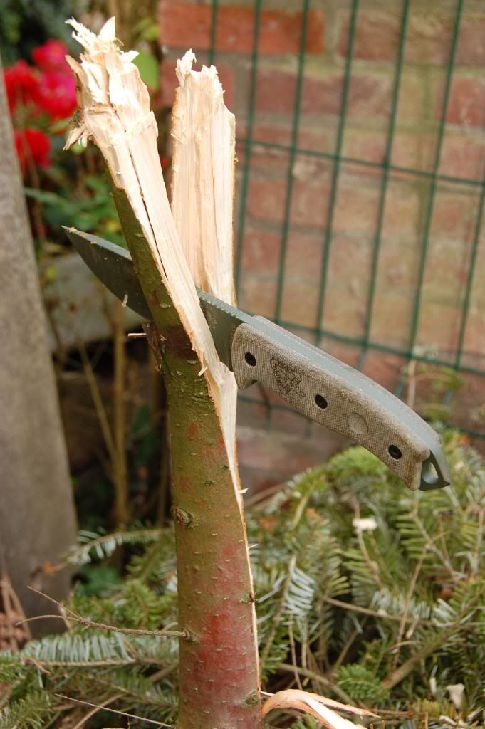 DSC_7804.jpg