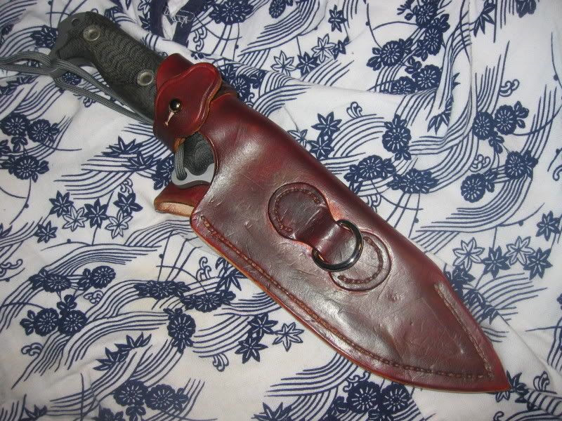 ASH-1024.jpg