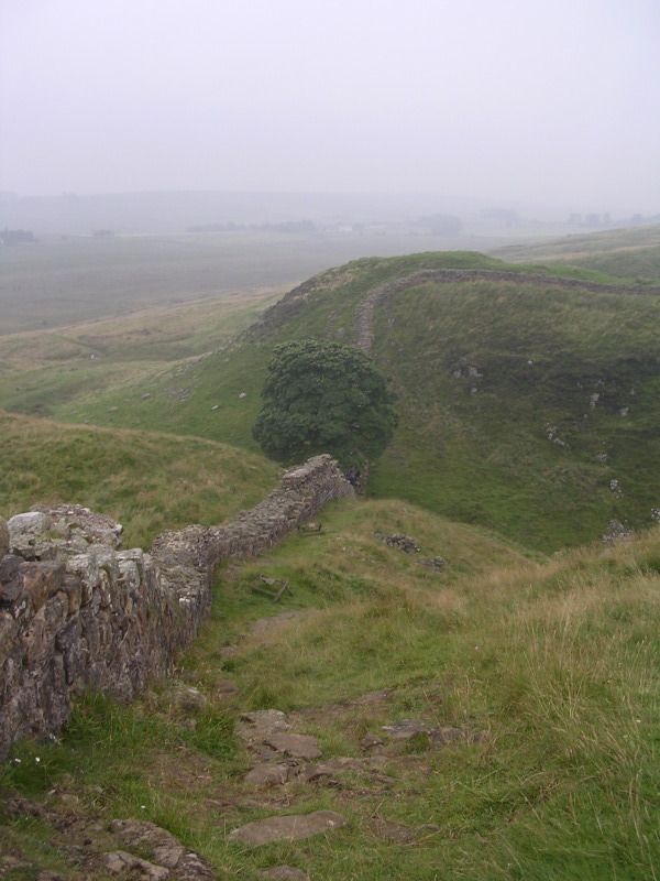 DSCN4473.jpg