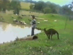 hu9-28.gif