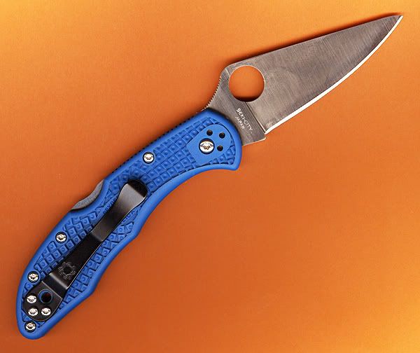 delica.jpg