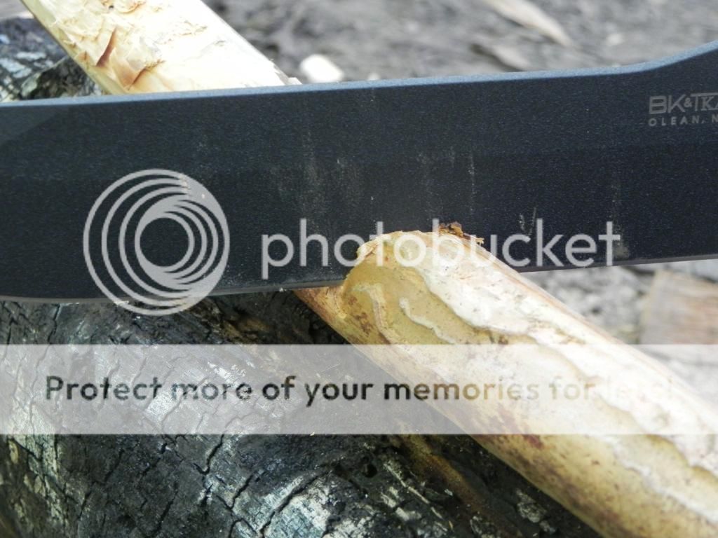 DSCN2356_zpsff9e5dbf.jpg