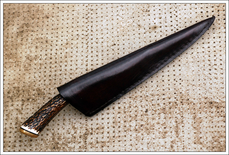 criollostagmokume10.jpg