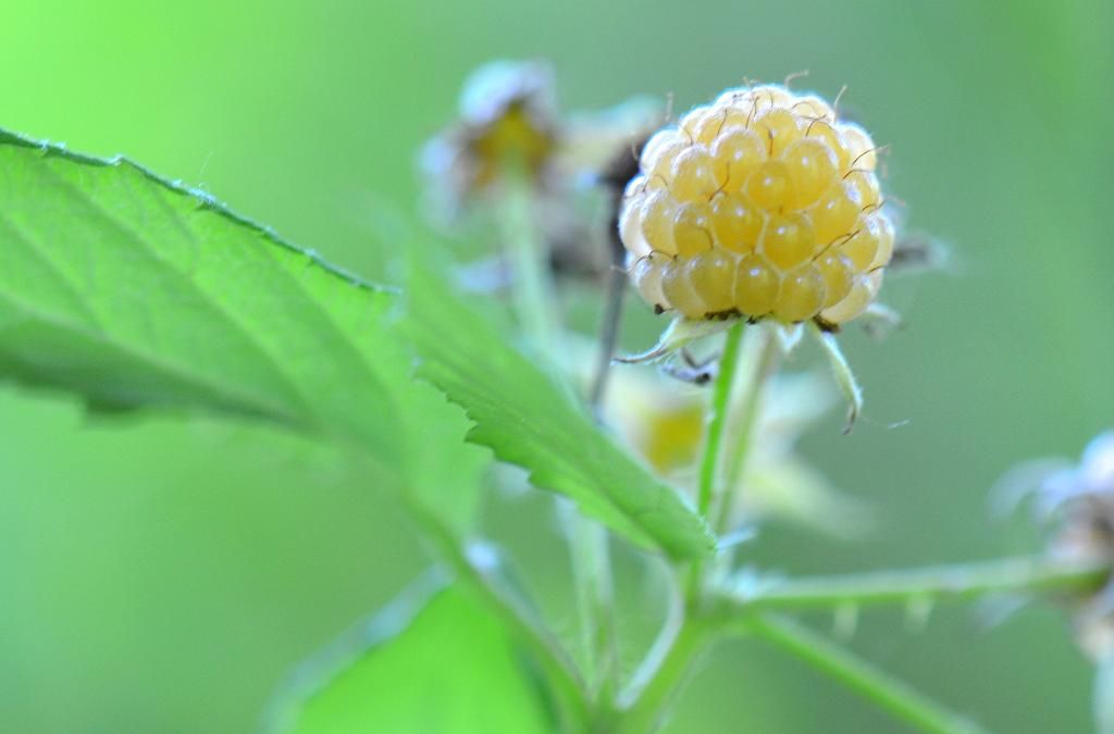 KGD_0002-1.jpg