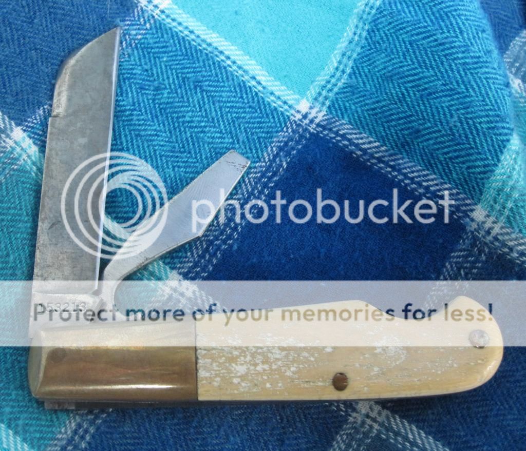 IMG_2594_zpse0c8283f.jpg~original