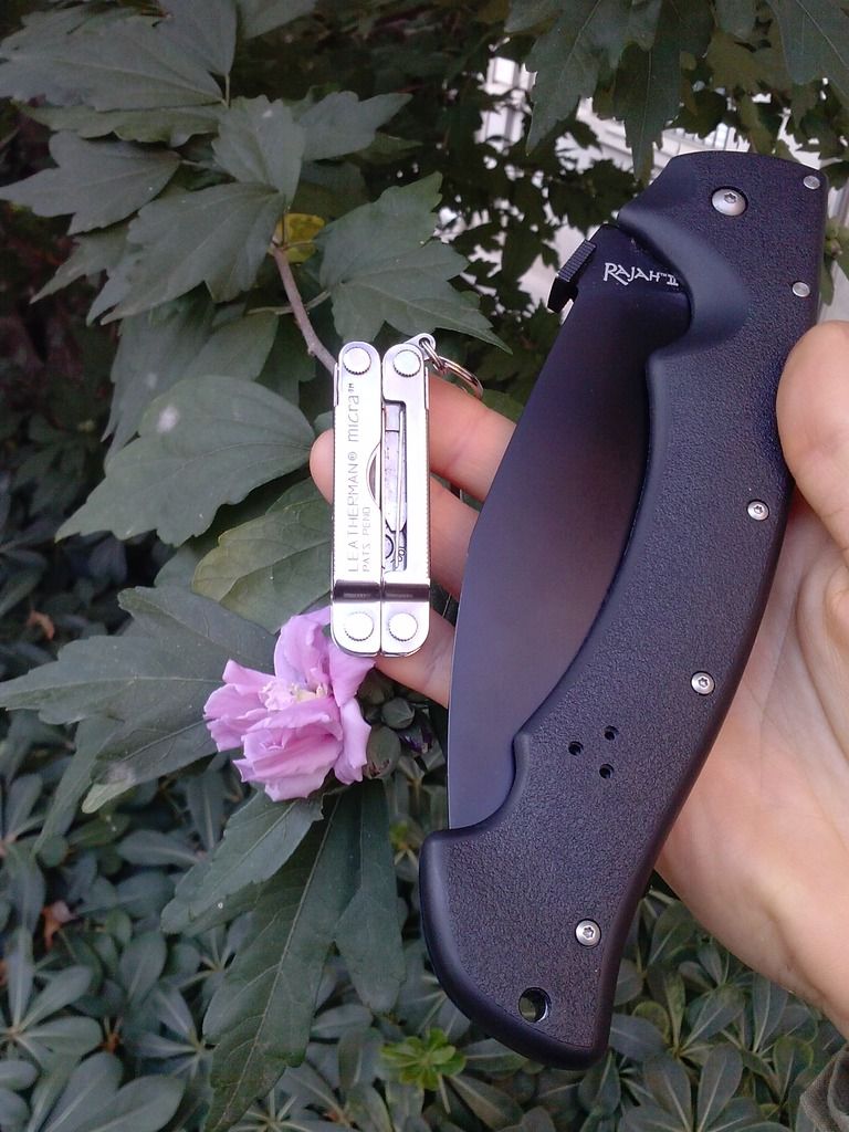 CAM02301_zpsqs7xuheq.jpg