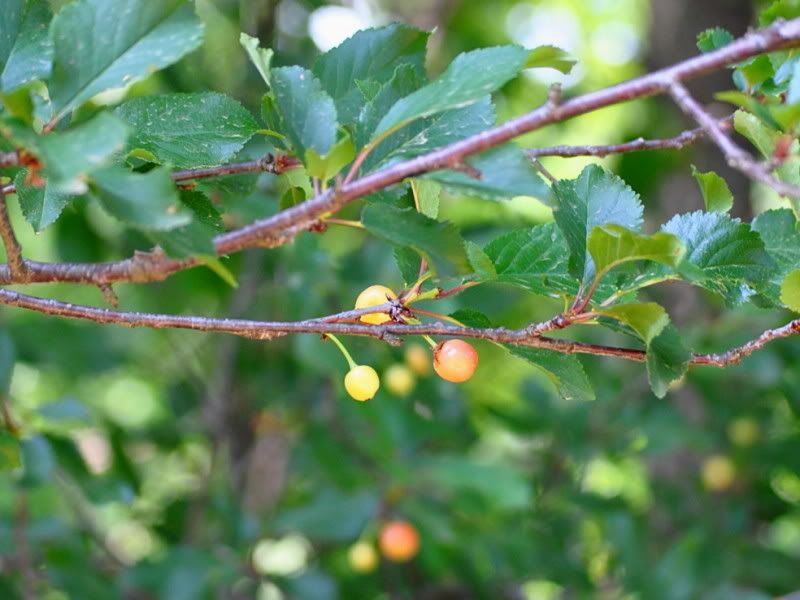 DSC_2324.jpg