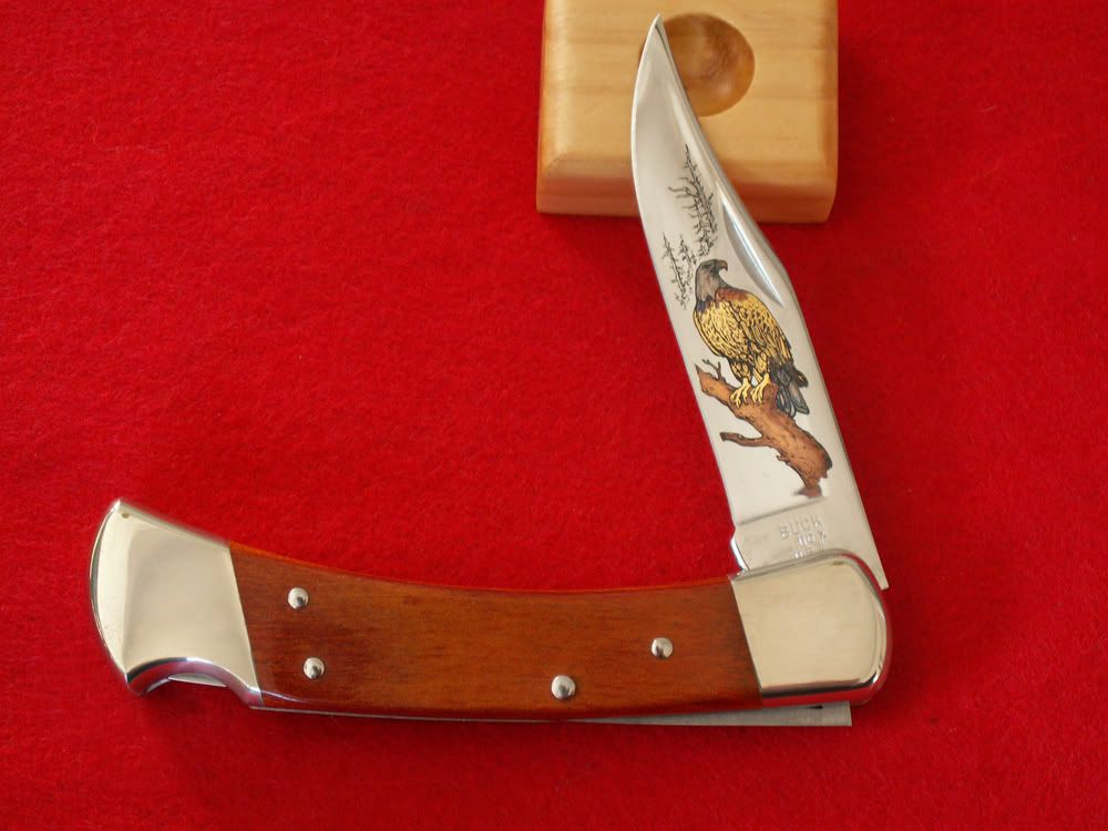 Eagle110.jpg