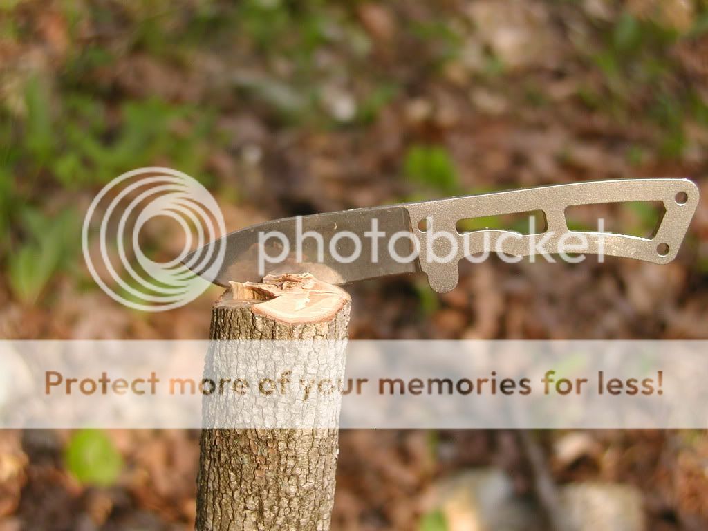 BK13Stump.jpg