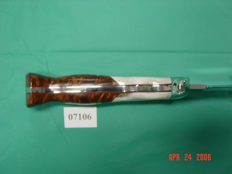 DSC02679.jpg