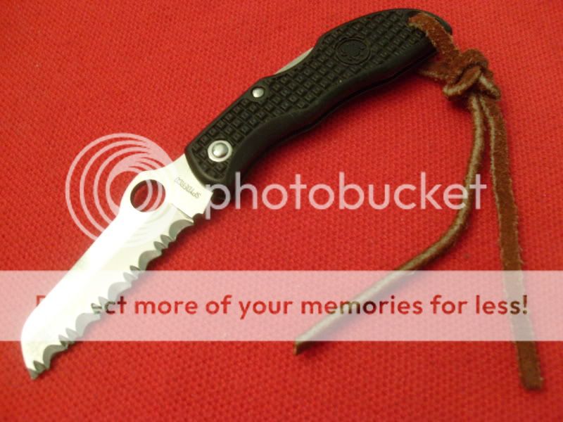 spydercojpg.jpg