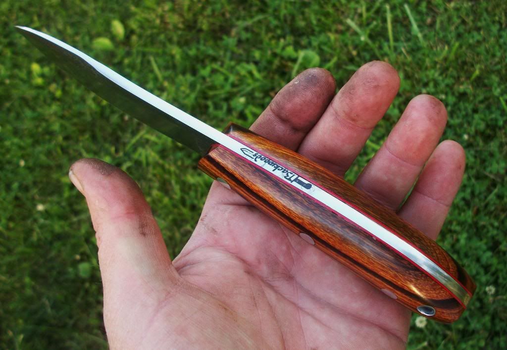 rryyr081.jpg