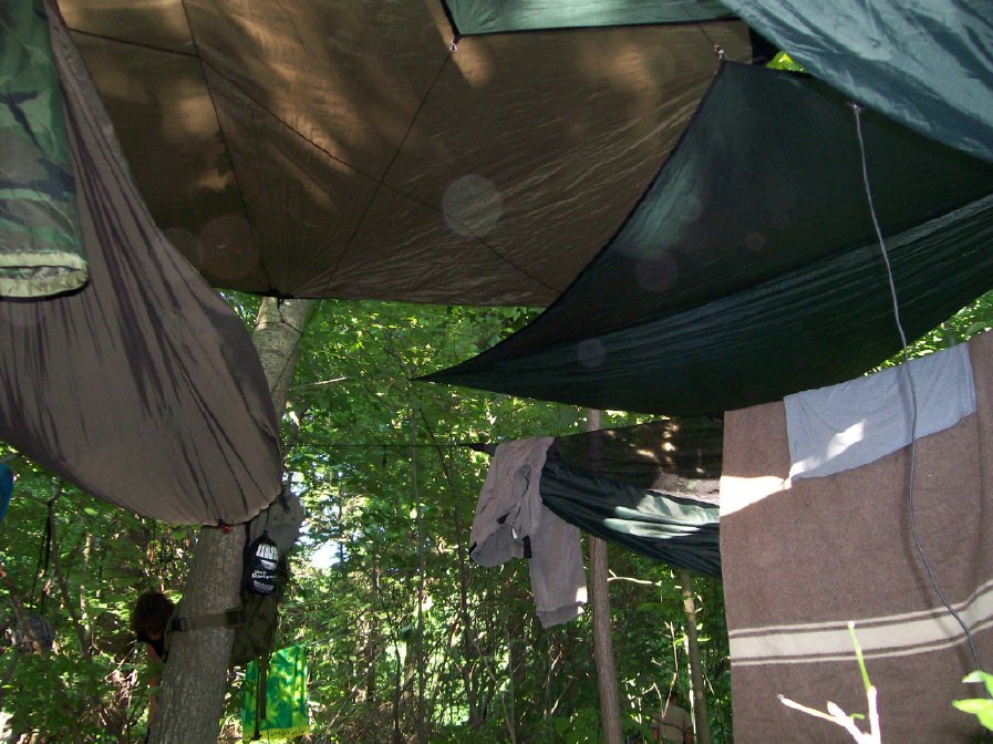 hammockland2.jpg