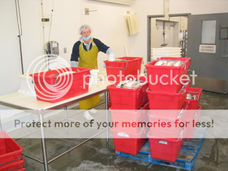 Processingroom.jpg