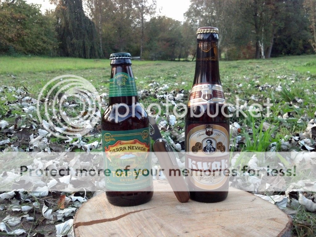 Beer_small_zps8c6d32d5.jpg