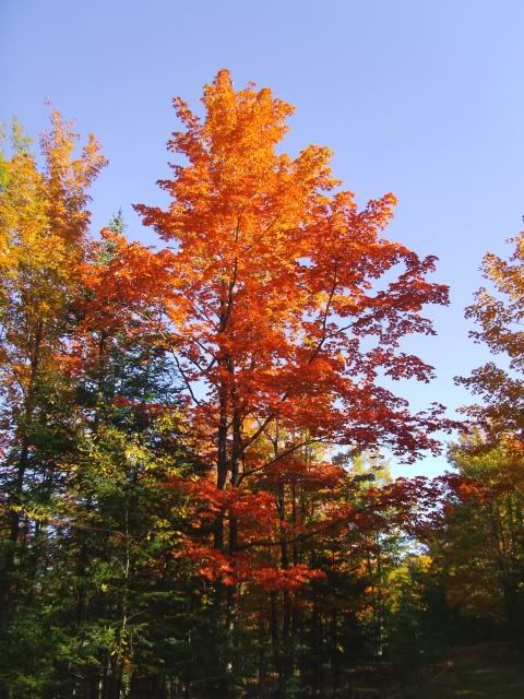 PICT0120.jpg