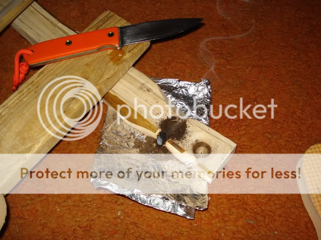 DSC06981-2.jpg
