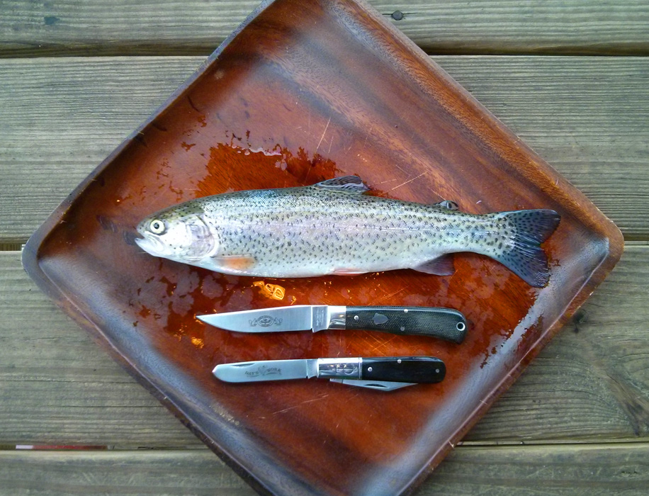 GEC_B&T_fish.jpg