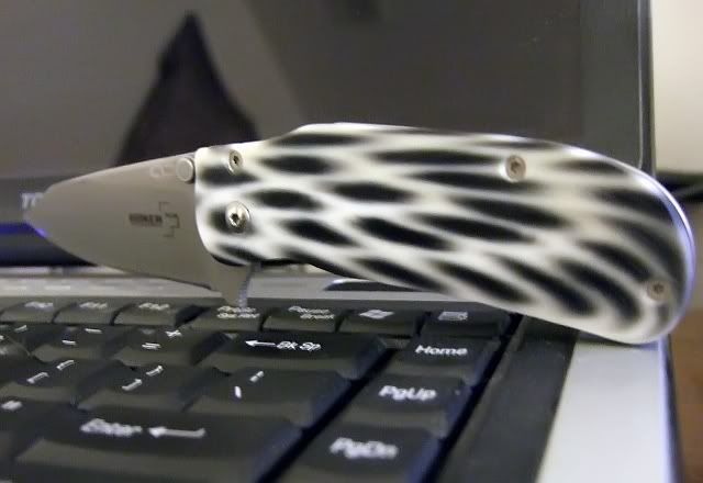 leopard.jpg