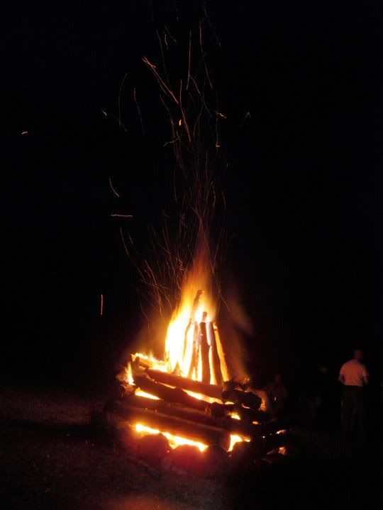 00813fca.jpg
