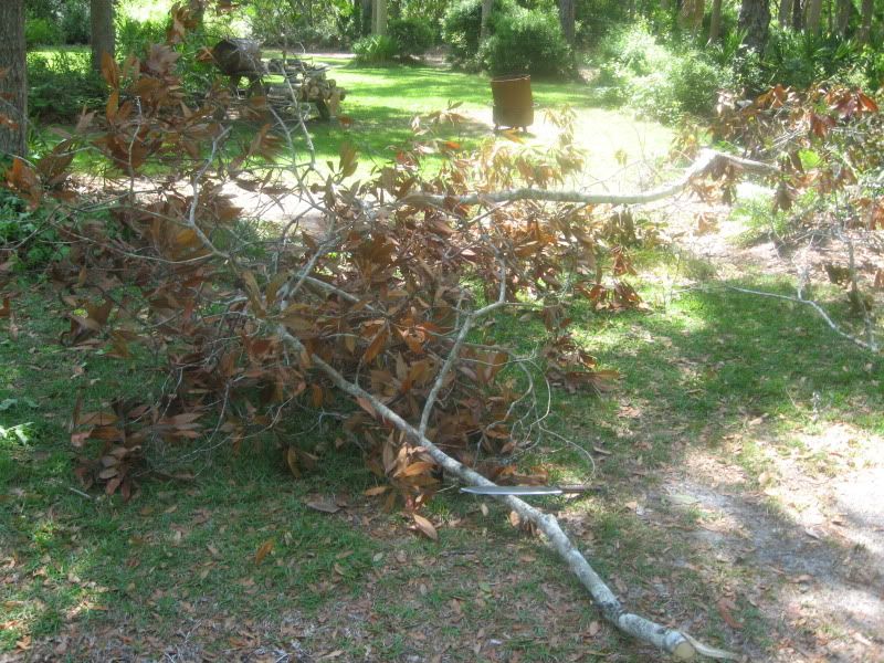 Challenge030.jpg