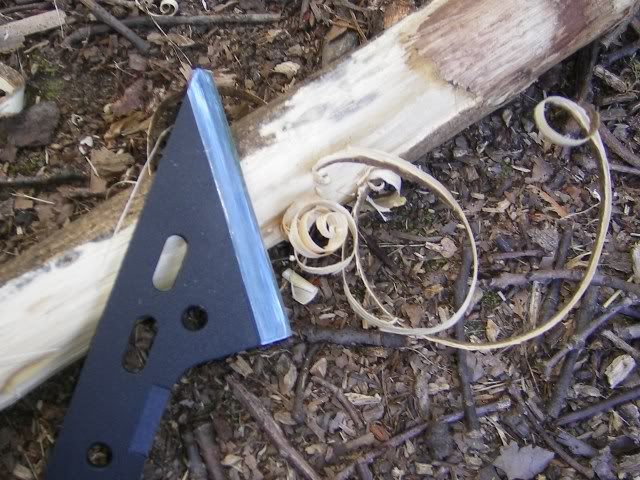 ecohawk018.jpg