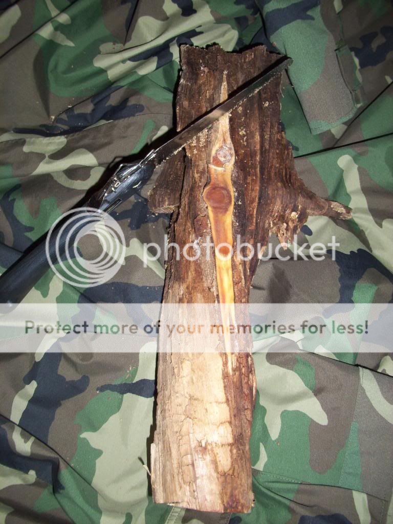 fatwood015.jpg