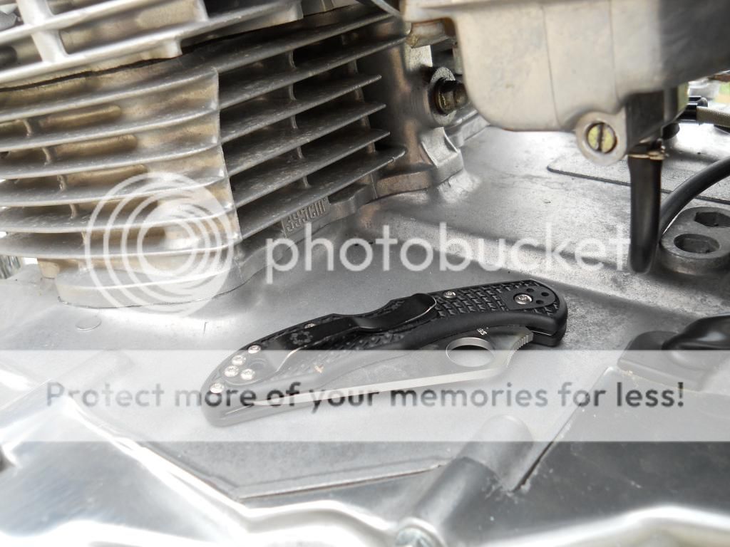 Delicapicsagain014_zpsc8249ab1.jpg