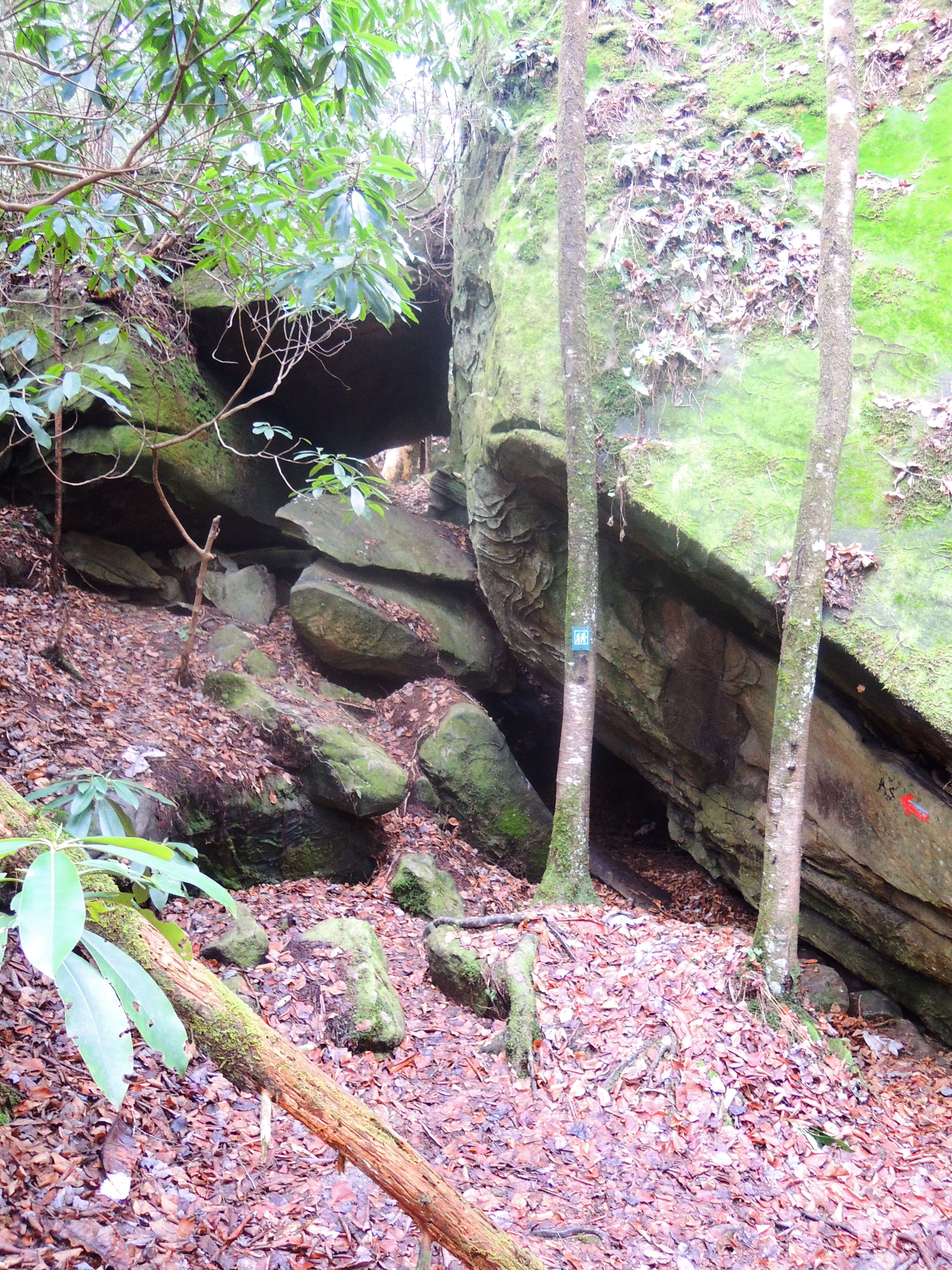 dscn5033g.jpg