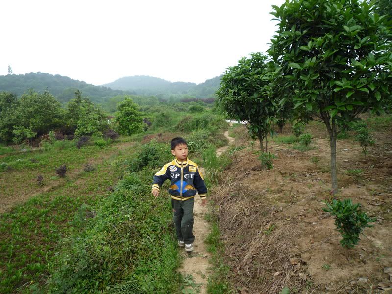 P1070055.jpg