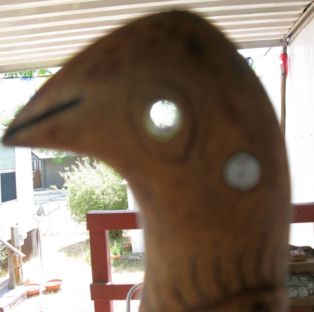 5-29-12002.jpg