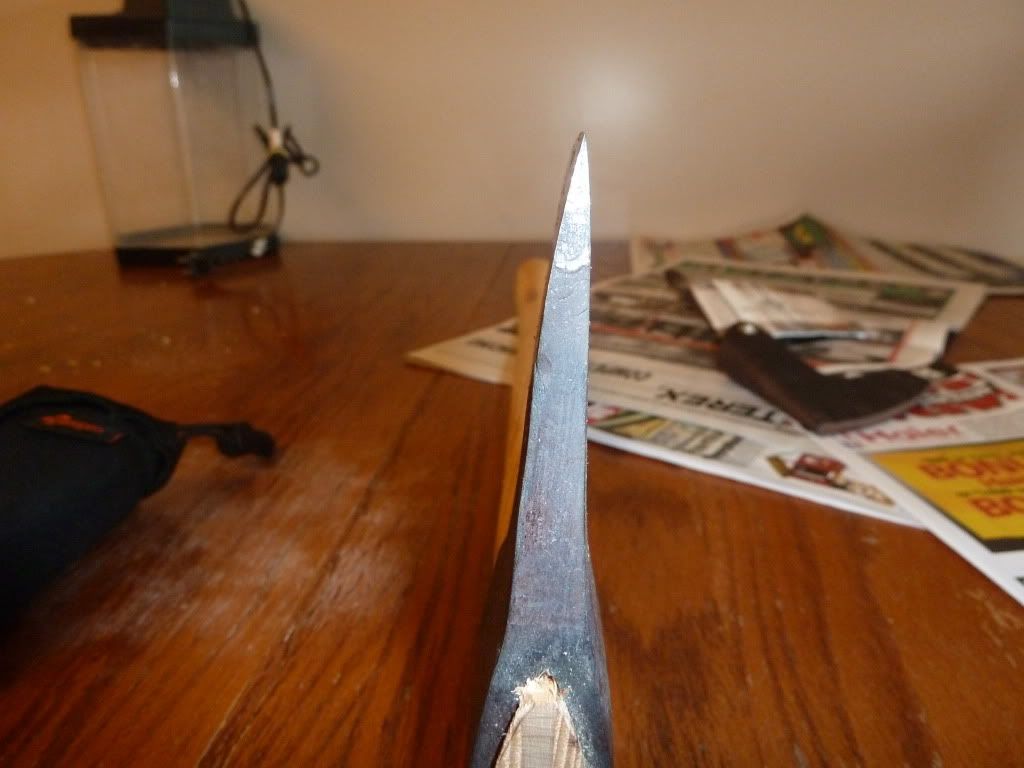 P1000747.jpg