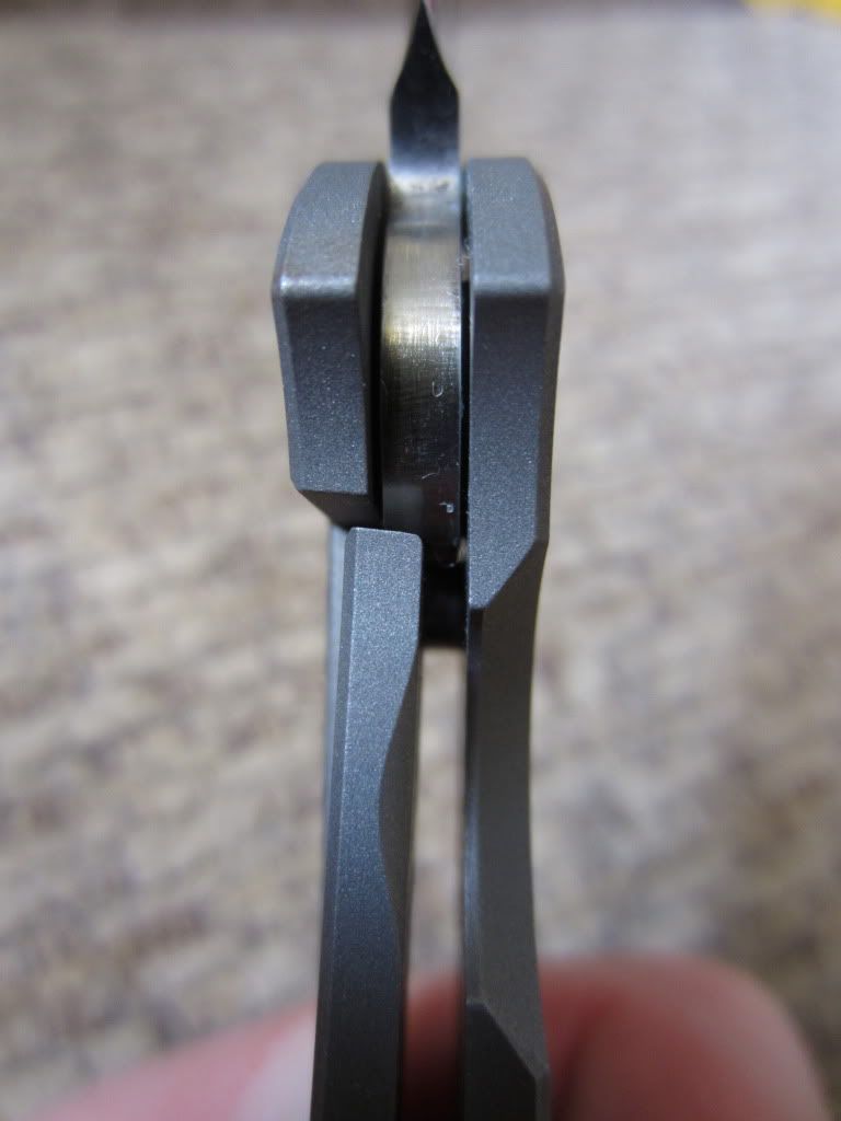 pless8.jpg